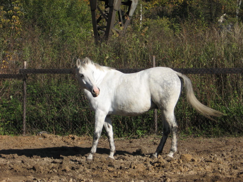 IMG_1297.jpg1.jpg"%20height="600"%20width="800